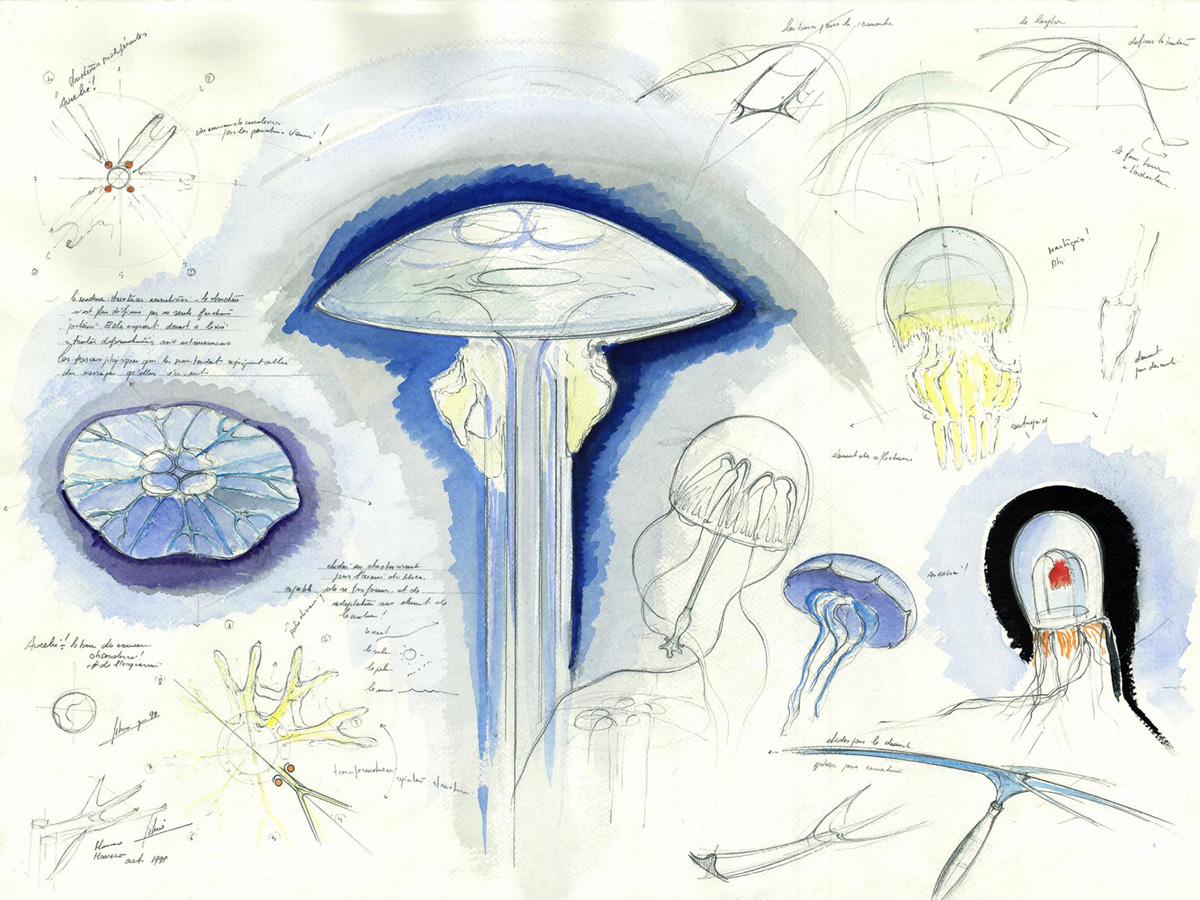  progetto immagine 0