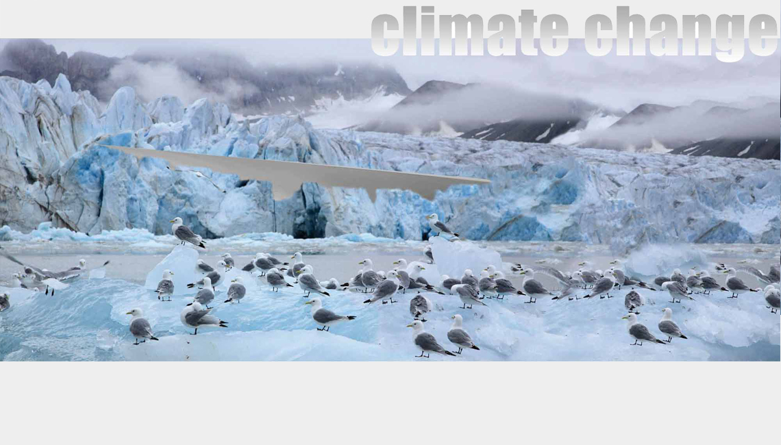 progetto immagine 0