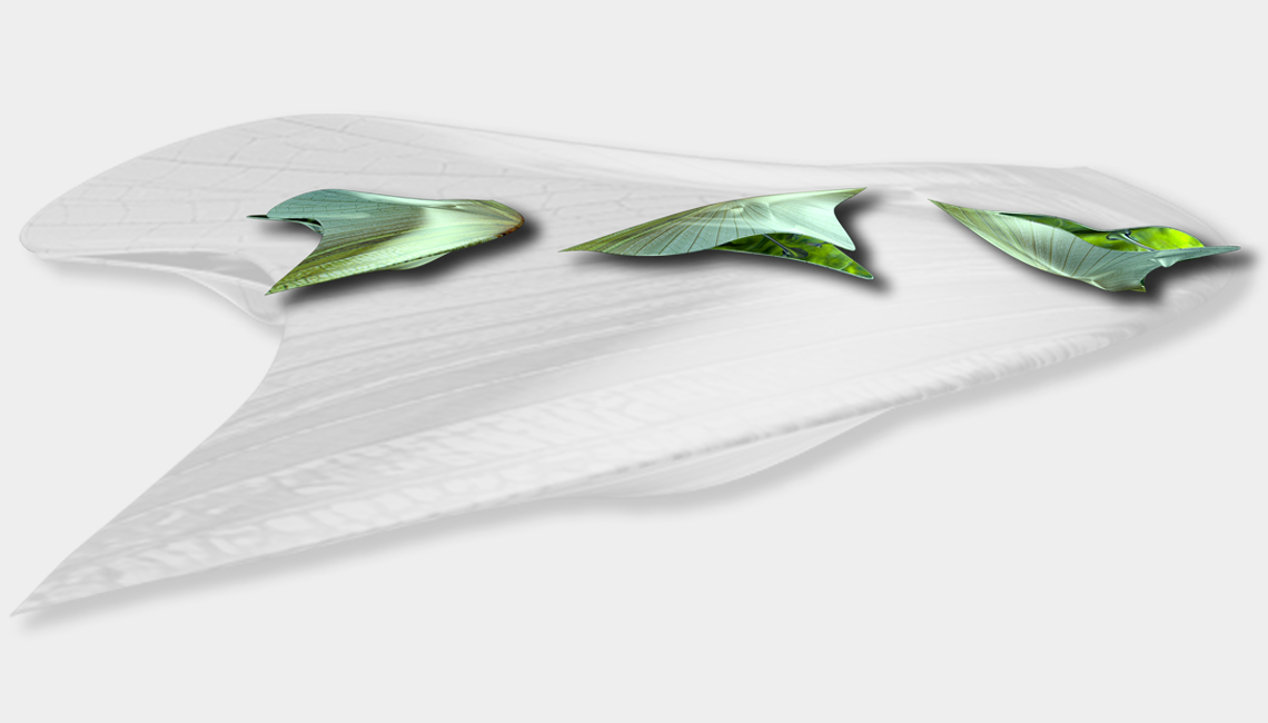  progetto immagine 3