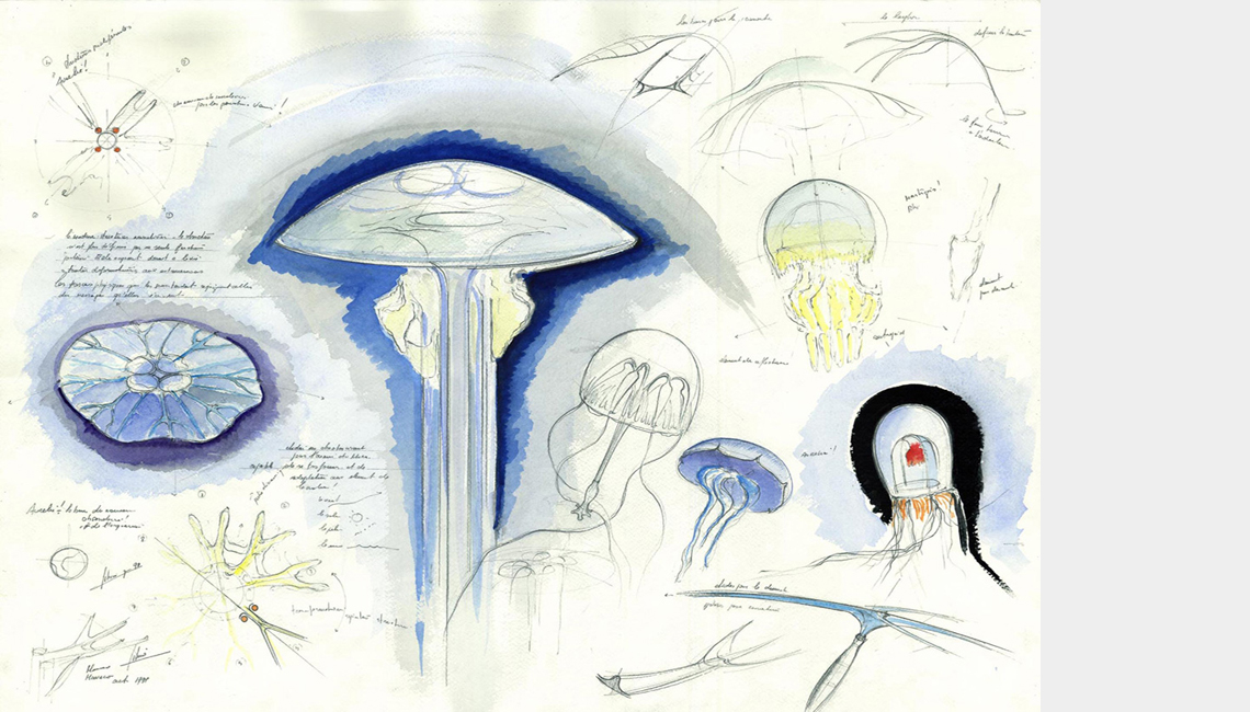  progetto immagine 0