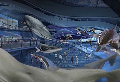 International center for the cetacean preservation