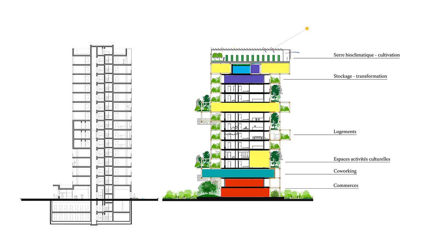 regeneration-2